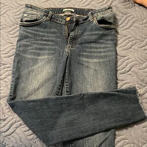 STS Blue Classic Denim Jeans